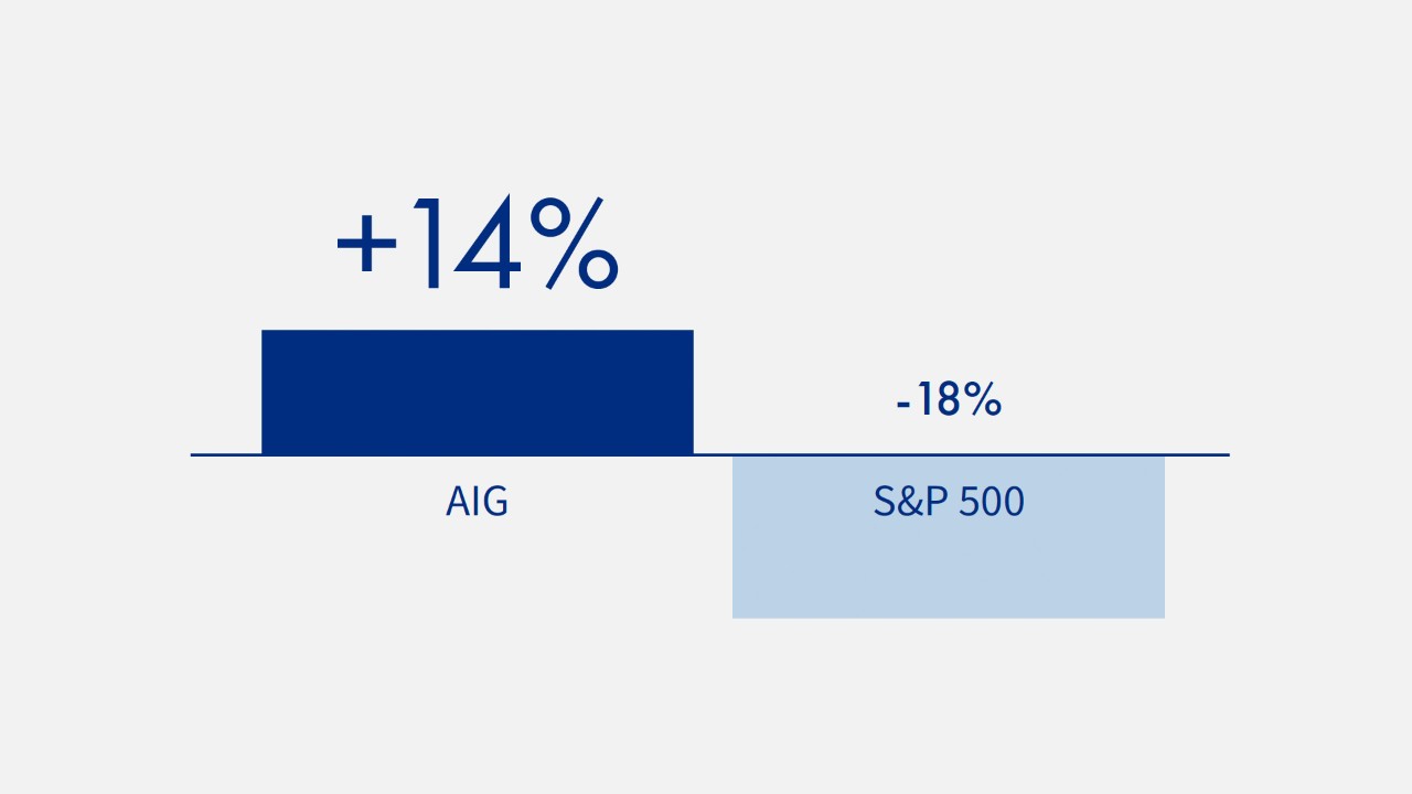 +14% AIG, -18% S&P 500